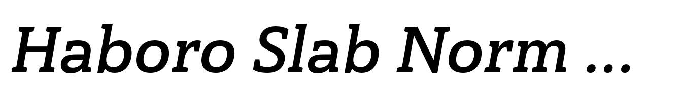 Haboro Slab Norm Bold Italic